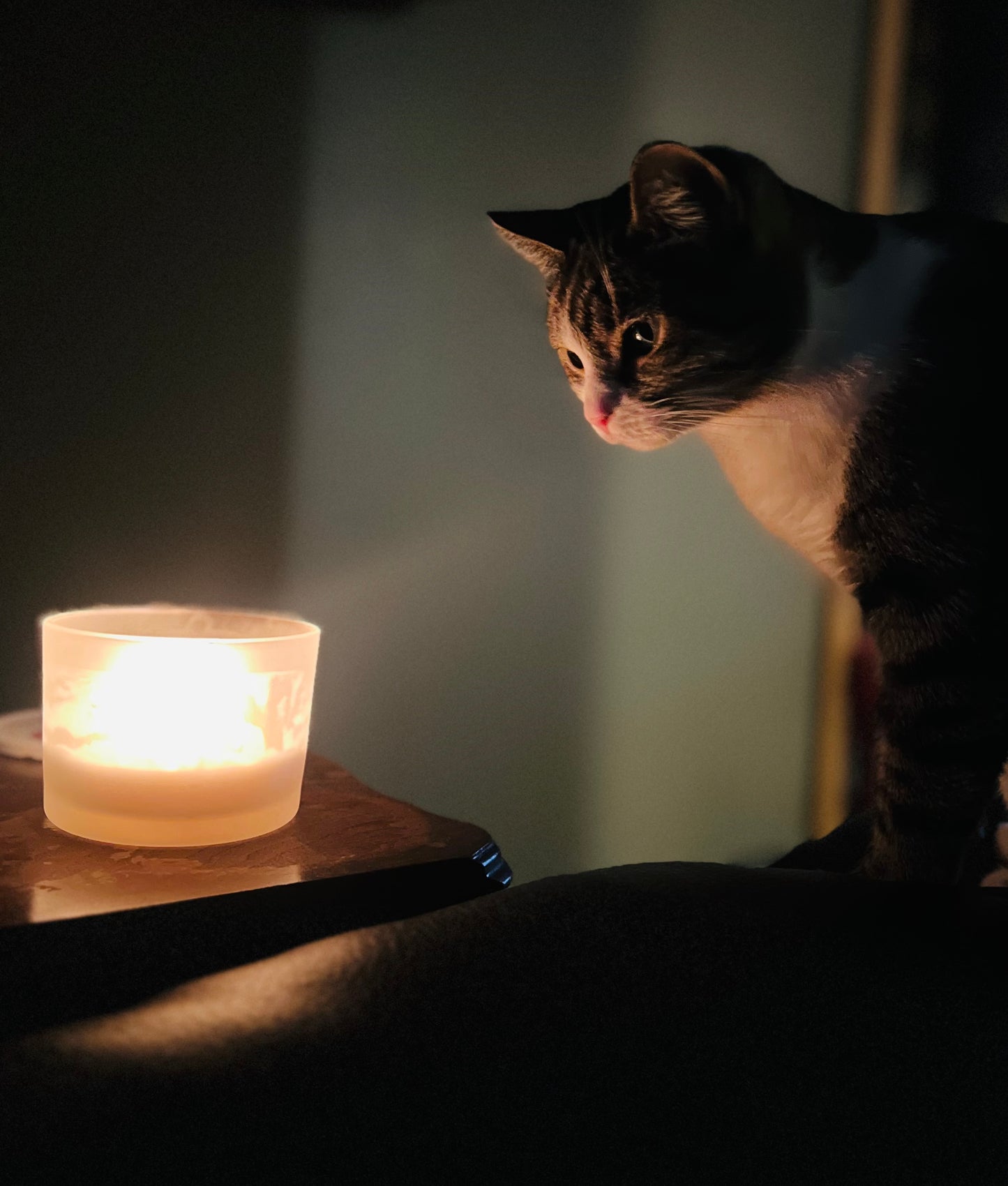 IMG_7962.jpeg__PID:a0f21e01-b8a7-4274-8ee3-e0627bf1908d